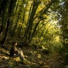 Quiet contemplation in the forest of St Francis's Hermitage which is situated up the hill from Fontemaggio